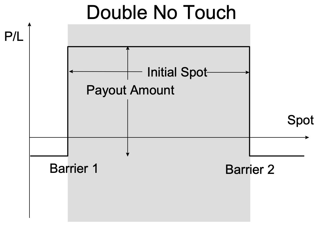Double No Touch Option Image
