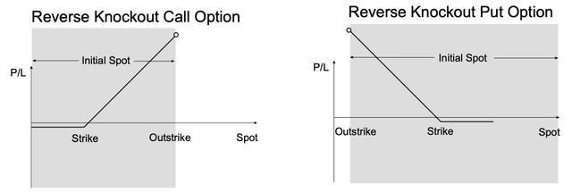 FX Options Guide - Section 15 - Reverse Knockout Option